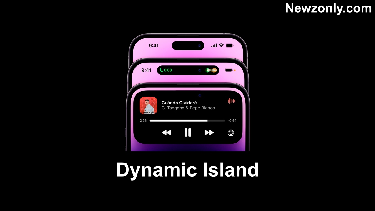 enable Xiaomi dynamic island theme